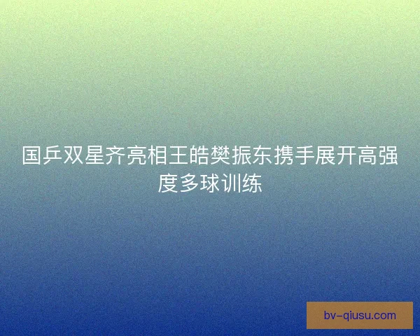 国乒双星齐亮相王皓樊振东携手展开高强度多球训练